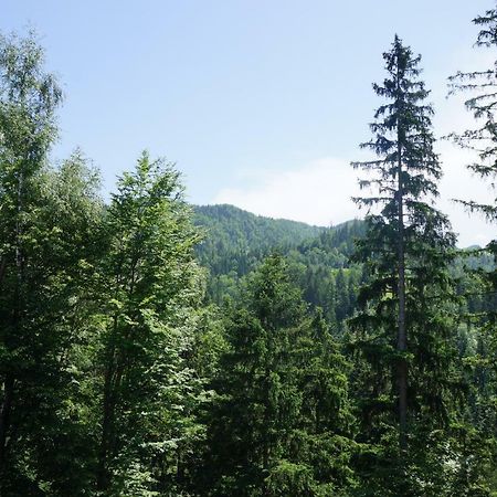 Na Rebri Villa Luče Dış mekan fotoğraf