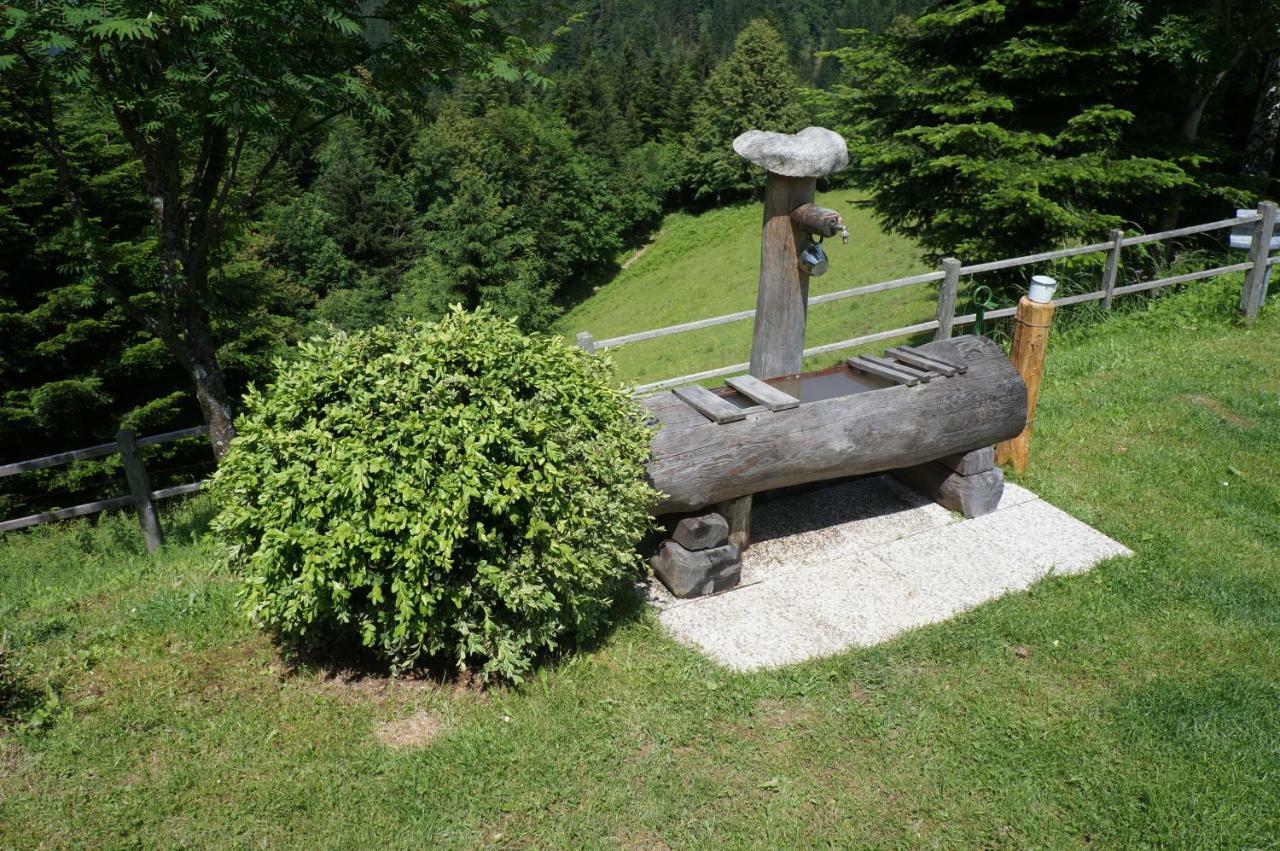 Na Rebri Villa Luče Dış mekan fotoğraf